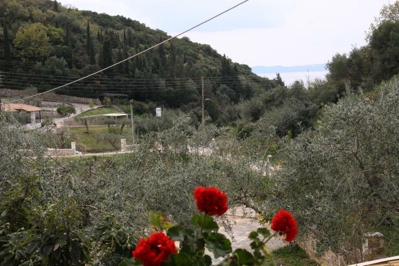 Katerina Rooms Sivota  Exterior photo