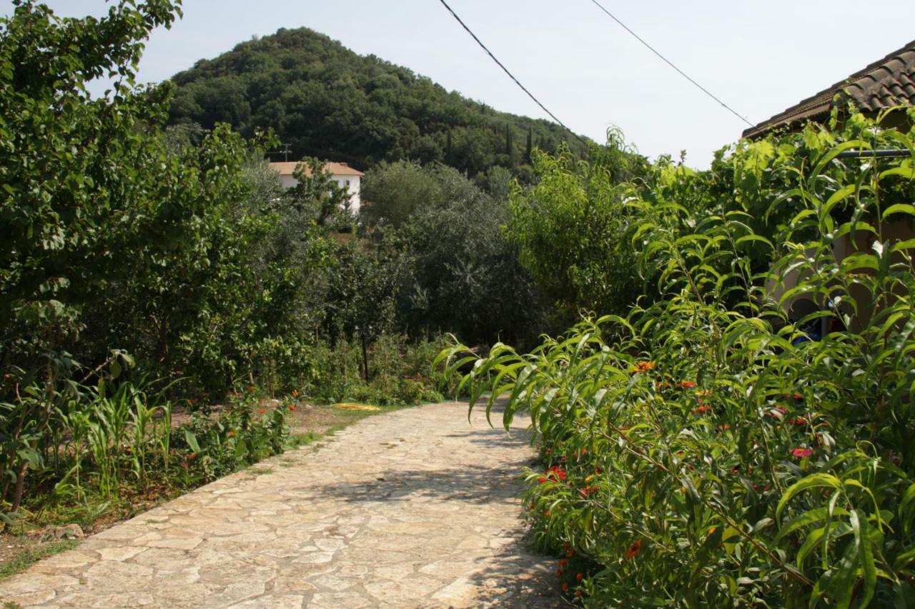 Katerina Rooms Sivota  Exterior photo